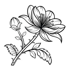  coloring pages of a delicate bell-shaped flower, flower, Art & Illustration