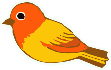 Orange Canary – Cute Songbird