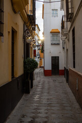 A narrow street in the old quarter of a Mediterranean city.