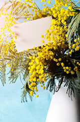 Mimosa flowers and white card - spring background with free space for text for 8 March, Mothers day, Easter holidays © syntheticmessiah