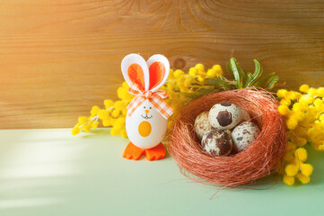 Easter background. Easter bunnies and Easter eggs in the nest near the mimosa flowers, free space...
