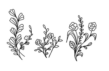 Set of handmade floral elements, plants and flowers. Sketchy design elements. Line art, continuous line, elegant outline.