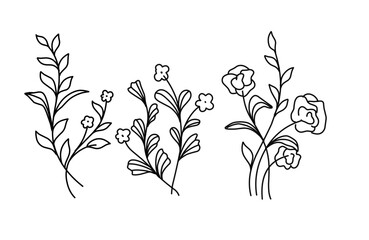 Set of handmade floral elements, plants and flowers. Sketchy design elements. Line art, continuous line, elegant outline.