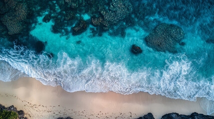 Exciting wildlife adventure safari park photo collection natural habitat close-up animal conservation awareness