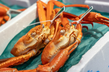 Two live crabs wait for a buyer at the Omicho indoor market in Kanazawa, Japan.