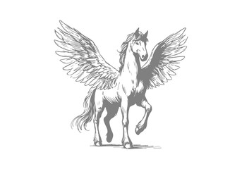 Pegasus winged horse hand drawn sketch vector © Shutoda