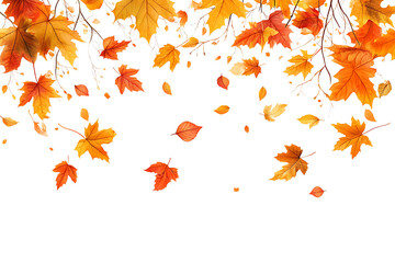 Autumn leaves falling isolated on PNG background