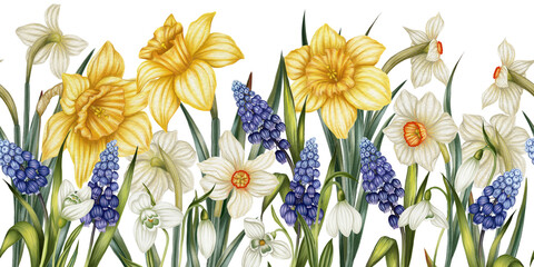  Seamless horizontal pattern garden of daffodils, snowdrops, muscari in watercolor illustration style. Flower arrangement. Florist shop. Floral print
