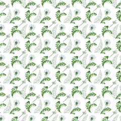 Watercolor seamless pattern with stylized buds, flowers and leaves of the Dandelion plant