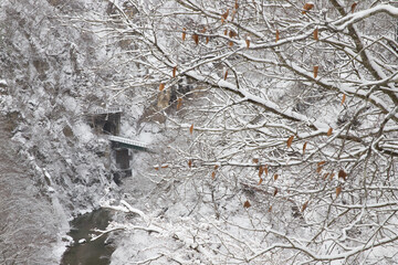 雪化粧の鳴子峡