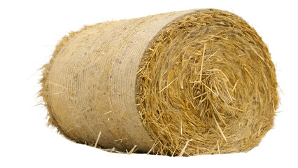 An isolated rectangular bale of straw, tightly packed with individual pieces of straw visible. The...