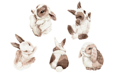 Easter spring bunnies, fluffy cute bunnies, PNG