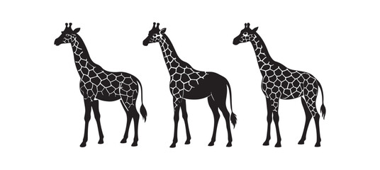 Obraz premium set of giraffe silhouette, black and white silhouette, vector and&nbsp;illustration