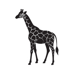 giraffe silhouette, black and white silhouette, vector and illustration