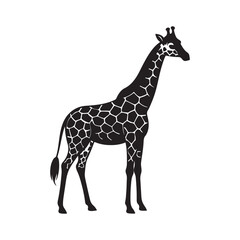 Obraz premium giraffe silhouette, black and white silhouette, vector and&nbsp;illustration