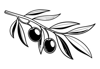 olive branch vector