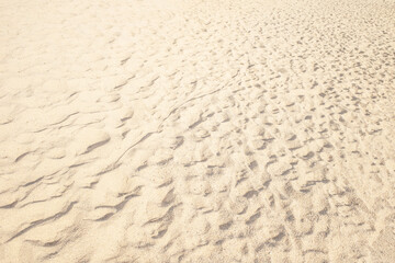 Summer beach sand background with natural wave pattern. Sand texture. Sunny gold sandy beach wallpaper