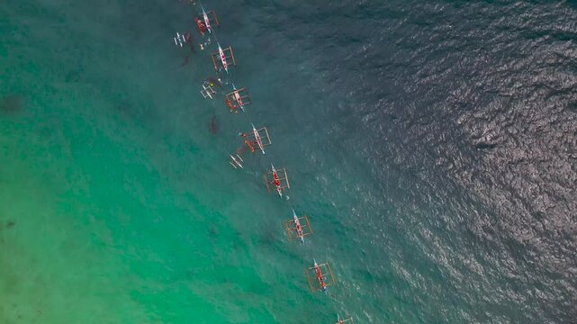 Cebu Island. Philippines. Swimming with whale sharks.  