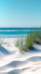 Serene Coastal Dunescape White Sand Beach Grass Ocean View