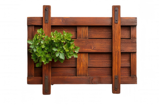 Rustic wooden wall planter with fresh herbs on a transparent background suitable for gardening and home decor projects