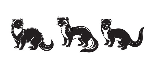 set of ferret silhouette, black and white silhouette, vector and illustration
