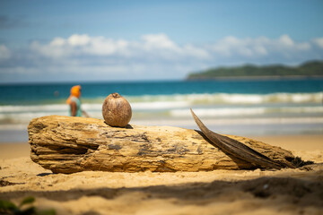 A coconut is placed on a piece of driftwood on a sandy beach, with waves in the background and a...