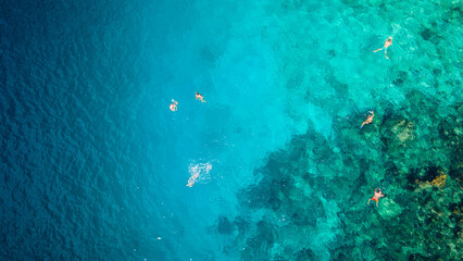 An aerial shot captures swimmers in clear blue water above a vibrant reef, illustrating human fascination with nature's underwater world and serene moments.