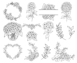 Collection of Hydrangea flowers, branches and frames,  hand drawn botanical line drawing, vector floral line art illustration for wedding, logo, advertising, packaging