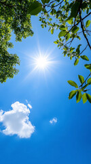 Fototapeta premium An endless azure sky with a radiant sun, viewed from below through lush green tree branches.