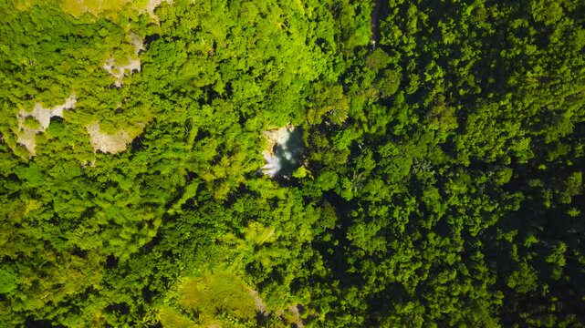Tumalog Waterfall. Negros Island. Philippines.  