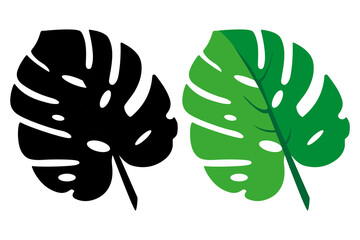 Monstera leaves line arts. Tropical leaves vector eps 10