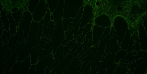 An Abstract Pattern of Water and Grunge Texture