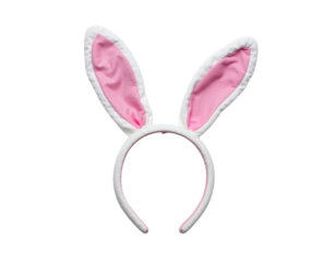 pink rabbit isolated on white