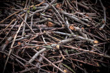 A pile of branches for heating the stove, thrown on top of each other.