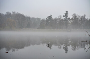 View of the lake with trees in the background, shrouded in fog on a misty day.