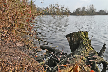 Inverno in Lombardia, campagna, giardini e bosco del lago di Basiglio