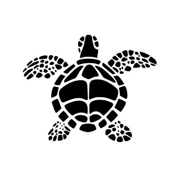 turtle vector illustration