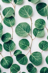 Green leaves with detailed veins on white background creating a natural pattern and texture