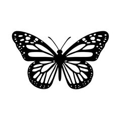 butterfly on white background