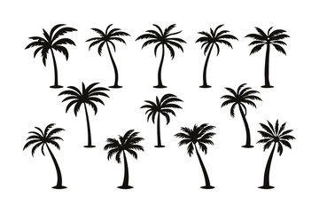 palm trees silhouettes