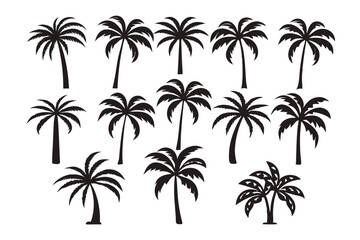 palm tree silhouettes