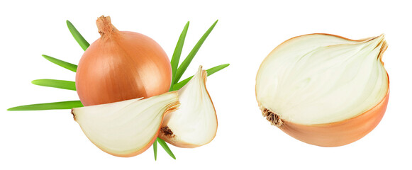 yellow onion isolated on white background close up