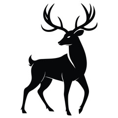 Obraz premium The mountain deer gaze in such calmness