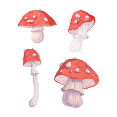 Set of watercolor illustrations of fly agarics with red and white spotted caps and white legs. Isolated illustrations on a white background. For decor, dishes, textiles and creativity.