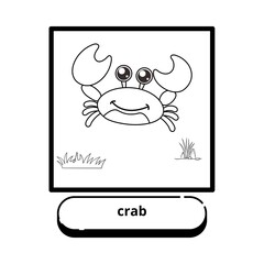 colorful animal pictures