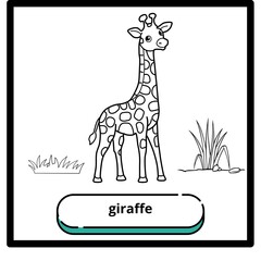 colorful animal pictures