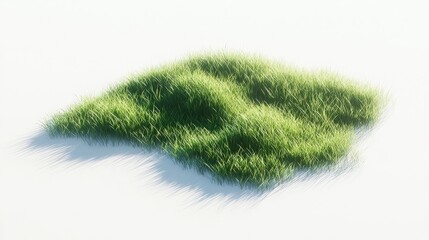 Lush green grass mound gently illuminated by soft light, creating a serene and tranquil atmosphere