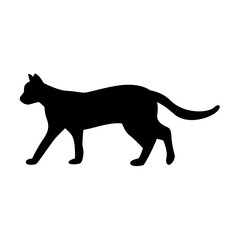 Cat Silhouette
