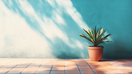 A freshly cleaned outdoor patio styled with a single potted plant and neat tiles. digital