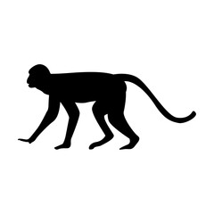 Monkey Silhouette 
